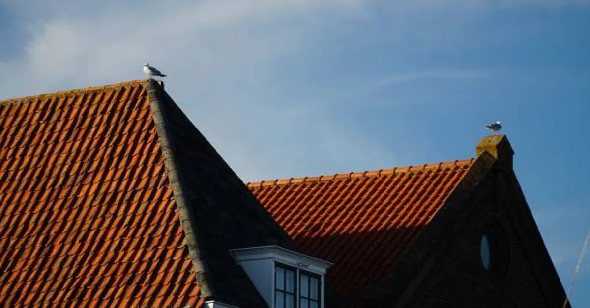 Your Roof