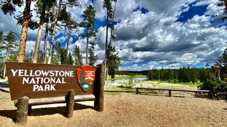 Best Entrance to Yellowstone: 2026 Guide to All 5 Gates