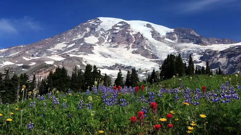 Burroughs Mountain Trail Mt Rainier: Routes, Permits & Views