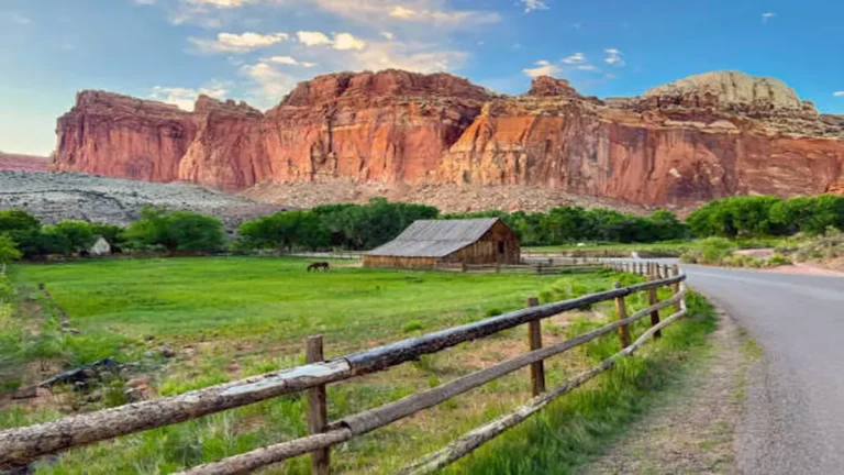 Capitol Reef Hikes: 12 Best Trails From Easy to Epic