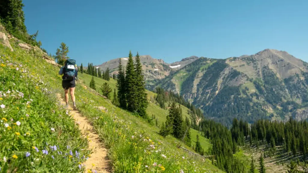 Grand Teton Hikes: 9 Best Trails for Every Skill Level