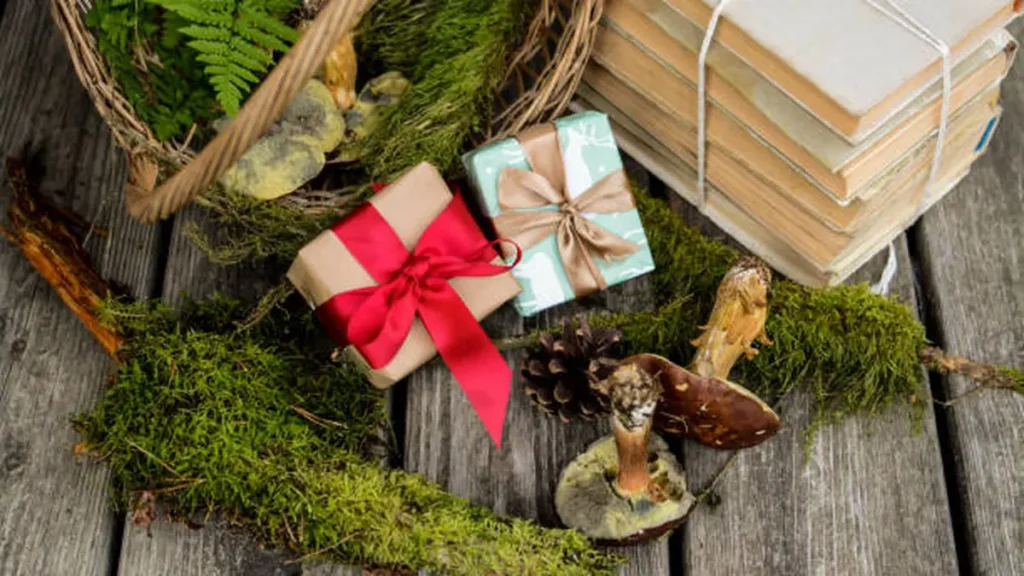 Outdoor Gift Ideas