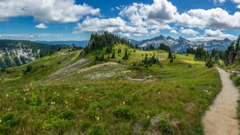 Pacific Crest Trail Oregon: Complete Hiking Guide 2026