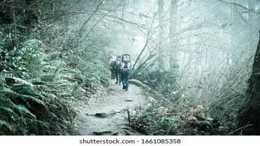Poo Poo Point Hike Difficulty: The Real Trail Breakdown