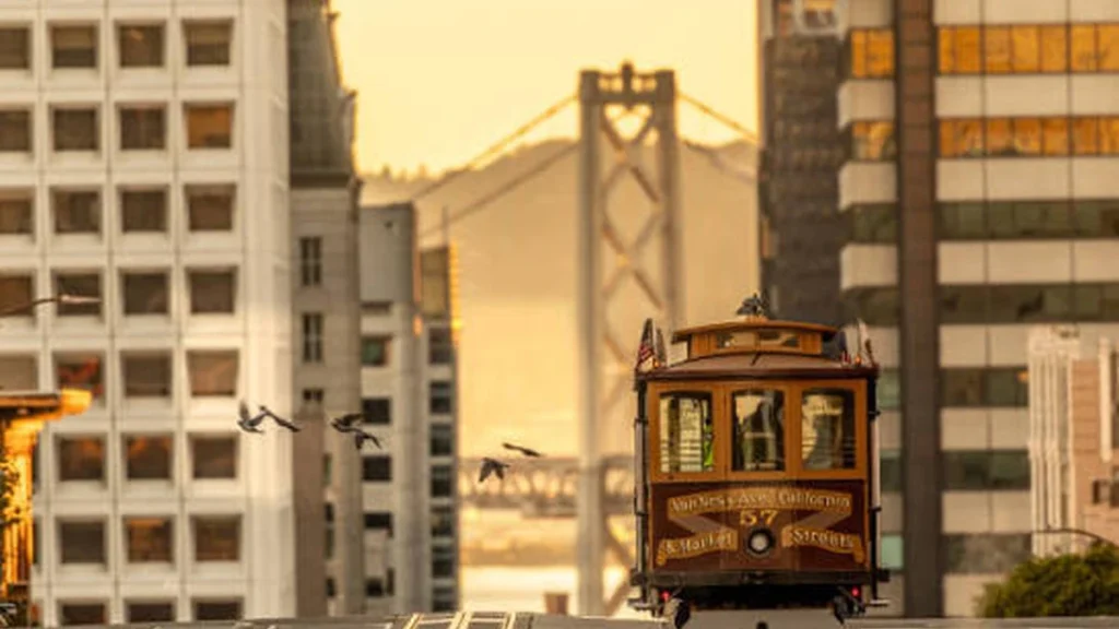 Best San Francisco Views: A Local's Complete 2026 Guide