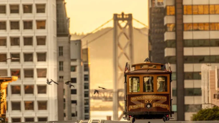 Best San Francisco Views: A Local's Complete 2026 Guide
