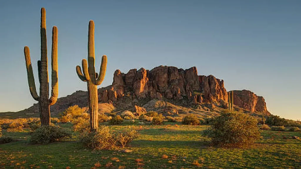 Superstition Mountain Trails: Best Hikes, Fees & Safety Tips