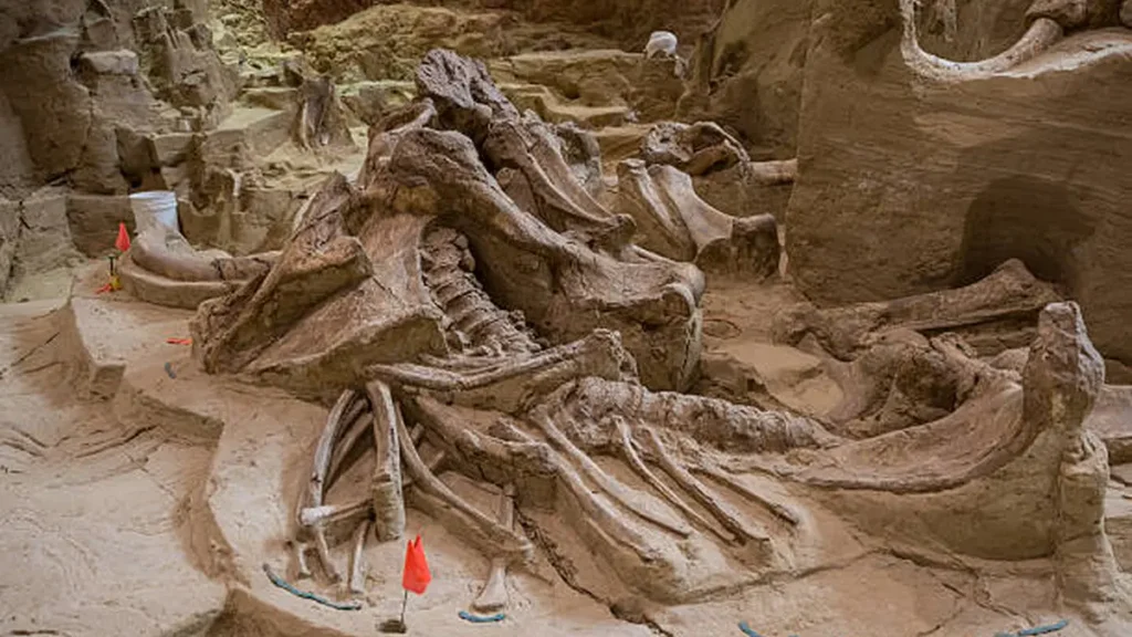 The Mammoth Site South Dakota: What to Know Before You Go