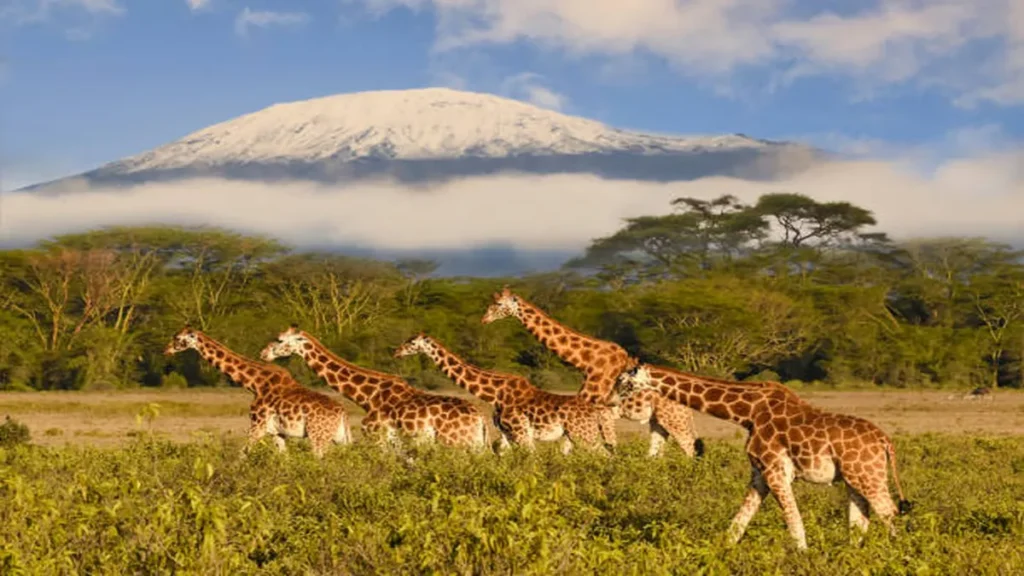 12 Best National Parks to Visit in October — By Region