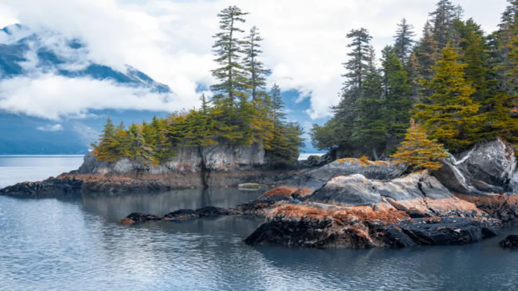 Kenai Fjords National Park Guide: Tours, Trails & Tips