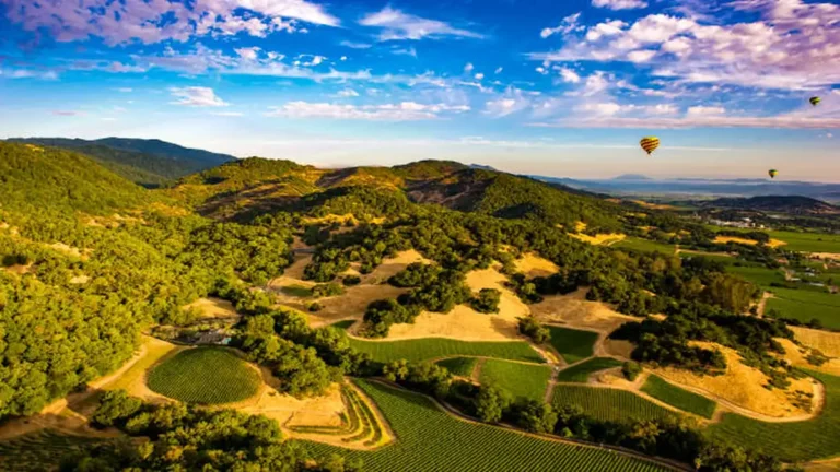 Things to Do in Napa Valley: 25 Best Experiences