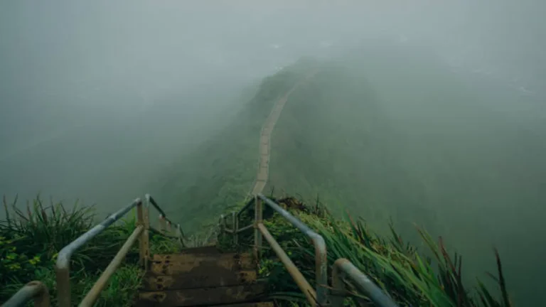 Hikes in Oahu: 12 Best Trails for Every Skill Level